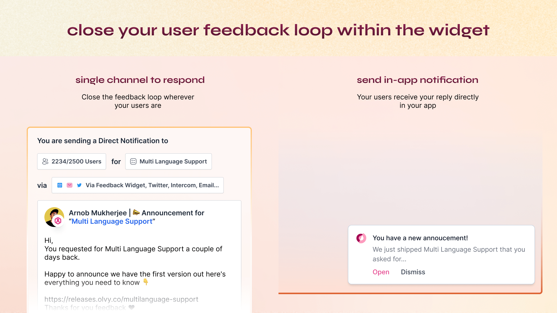 Best Feedback Widget 